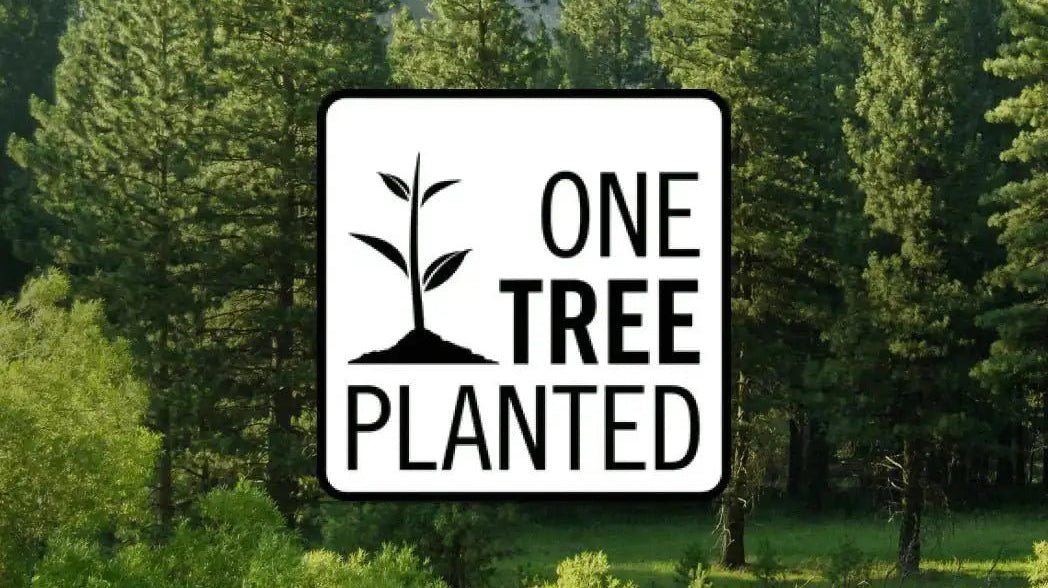AEMBR's Commitment to Sustainability: Planting a Tree for Every Candle Sold - AEMBR
