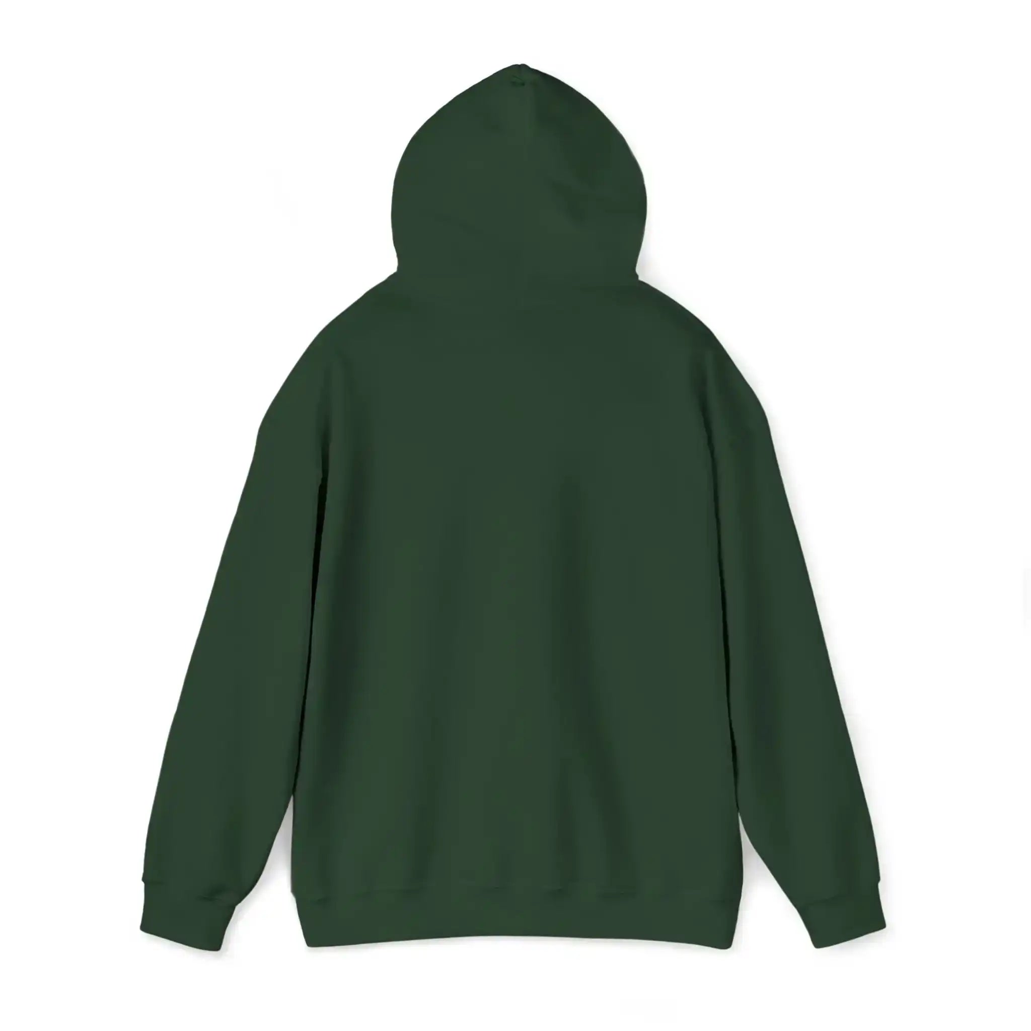 AEMBR dark green hoodie, back view, showcasing classic design and cozy fabric