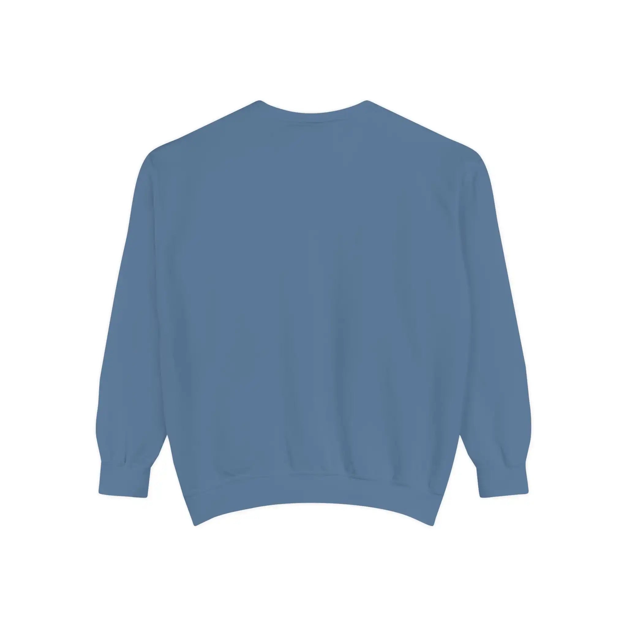AEMBR blue crewneck sweatshirt with long sleeves viewed from the back on white background