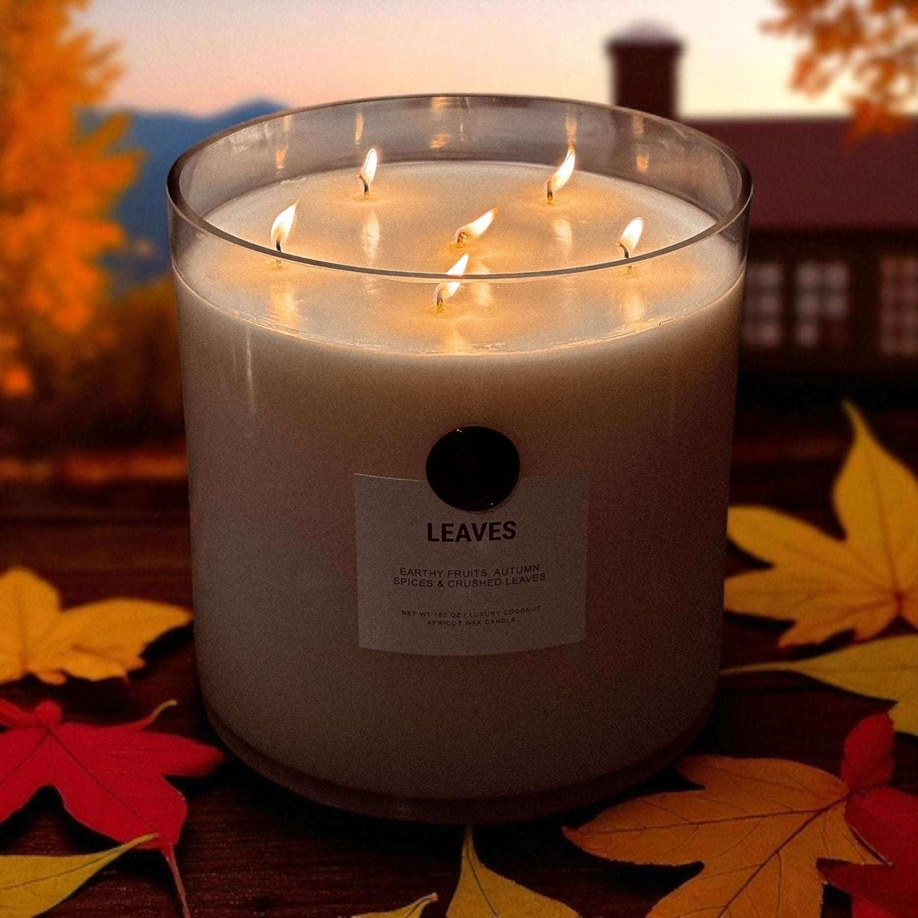 Non-toxic autumn candle with multiple wicks, coconut apricot wax, surrounded by fall leaves