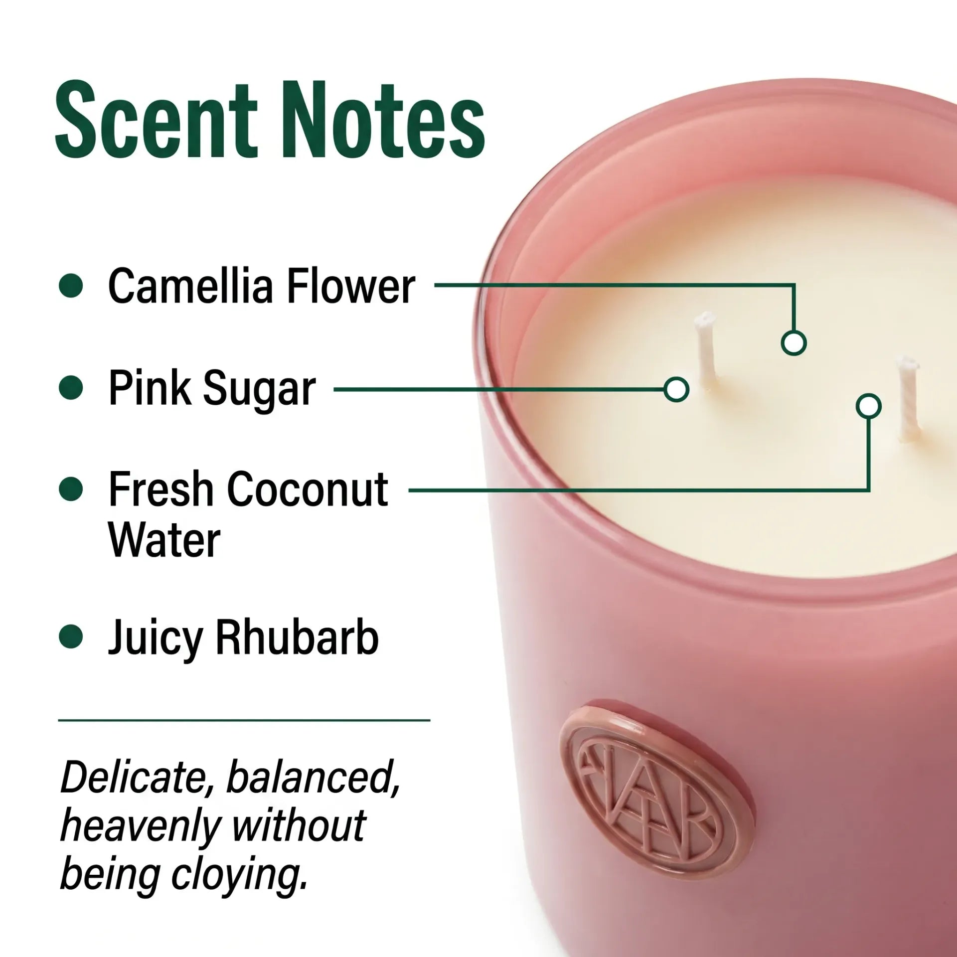 Motherlover Scent Notes — Camellia Flower, Pink Sugar, Fresh Coconut Water, Juicy Rhubarb — Macro close-up of coconut-apricot wax surface and double cotton wicks