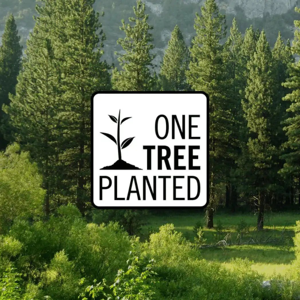 AEMBR's Commitment to Sustainability: Planting a Tree for Every Candle Sold - AEMBR