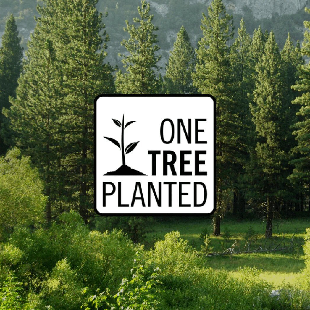 AEMBR's Commitment to Sustainability: Planting a Tree for Every Candle Sold - AEMBR