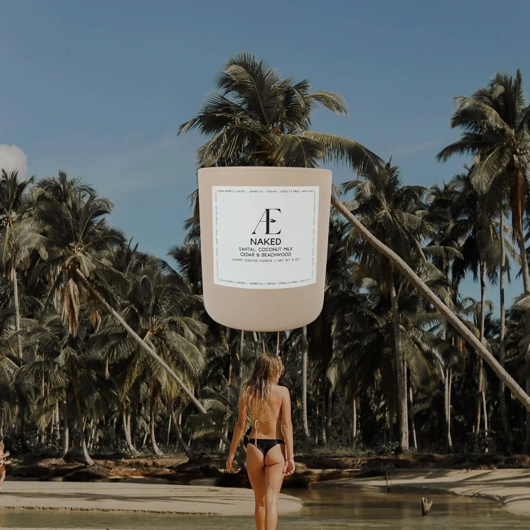 Non-toxic scented candle with santal, coconut milk, cedar, and beachwood in tropical setting