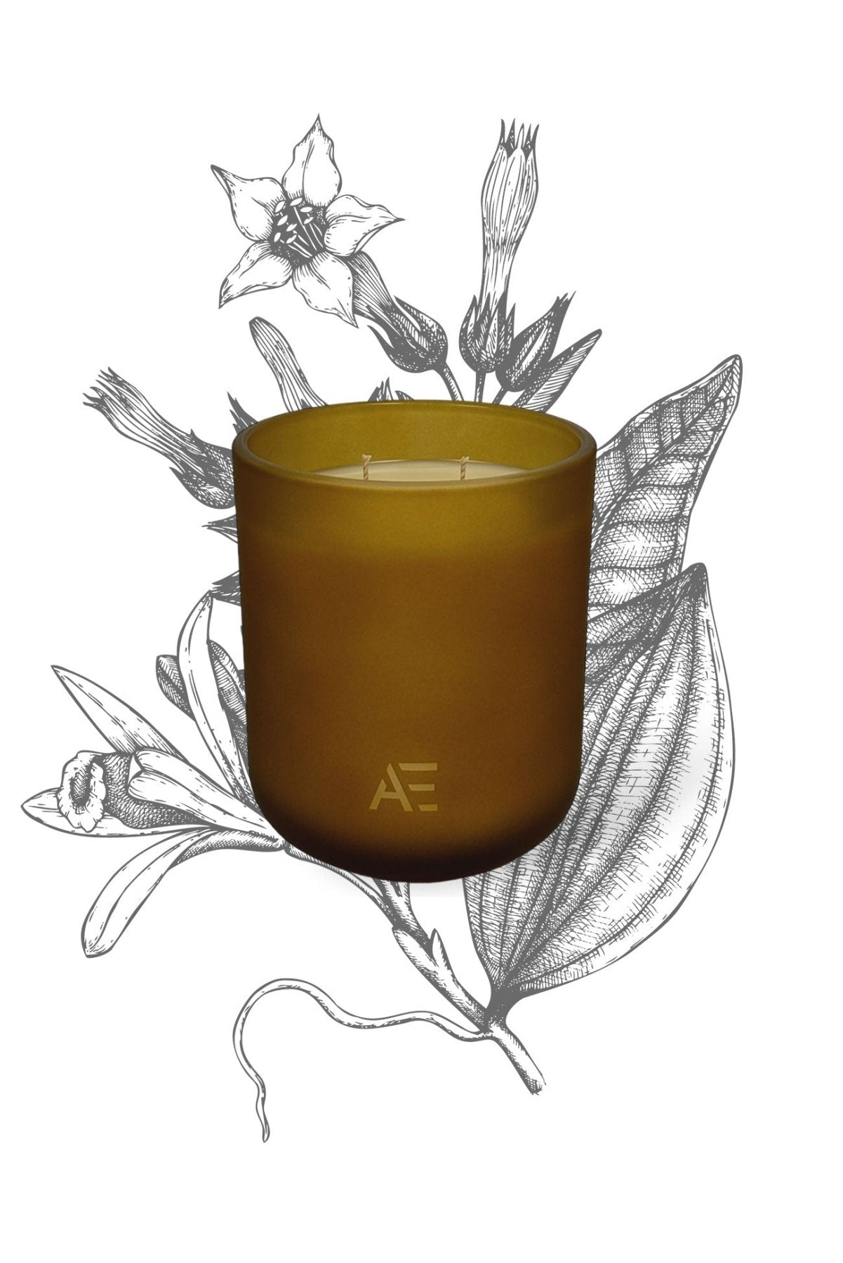 VINTAGE VERSIONS - AEMBR