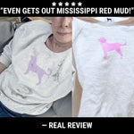 AEMBR non-toxic detergent before and after on stained dog print sweatshirt, real customer review.