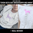 AEMBR detergent before-and-after on sweatshirt with dog print, removes tough stains effectively.