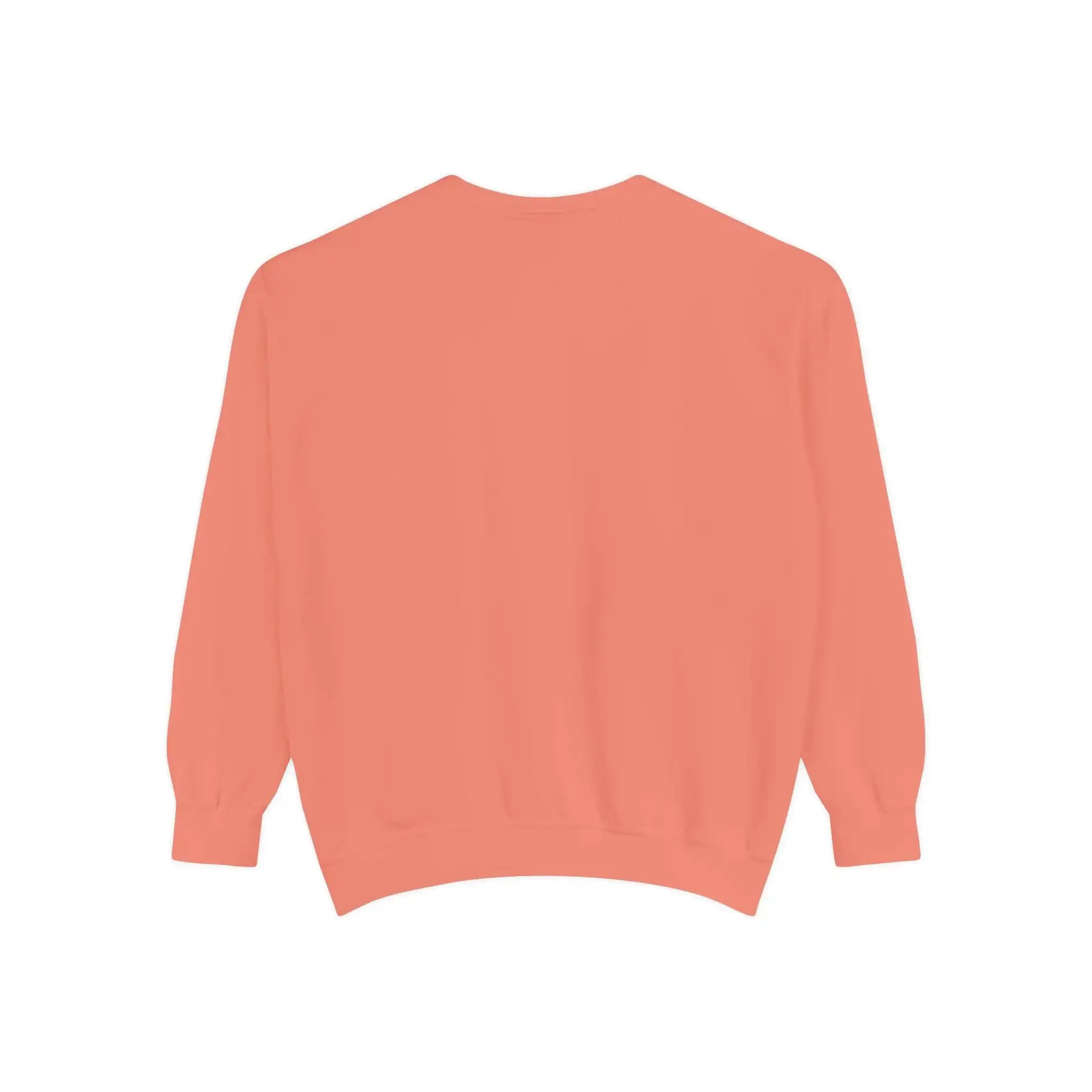 AEMBR solid coral crewneck sweatshirt, back view, long sleeve, soft cotton blend.