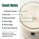 Fjord candle scent notes macro closeup wax surface ambrette seeds sea salt blonde woods sage
