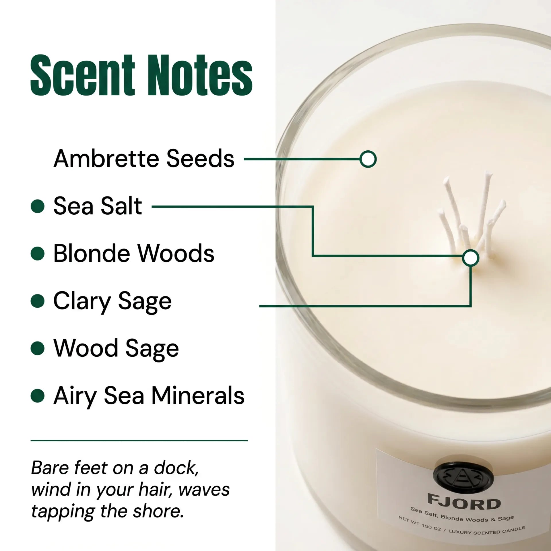 Fjord candle scent notes macro closeup wax surface ambrette seeds sea salt blonde woods sage