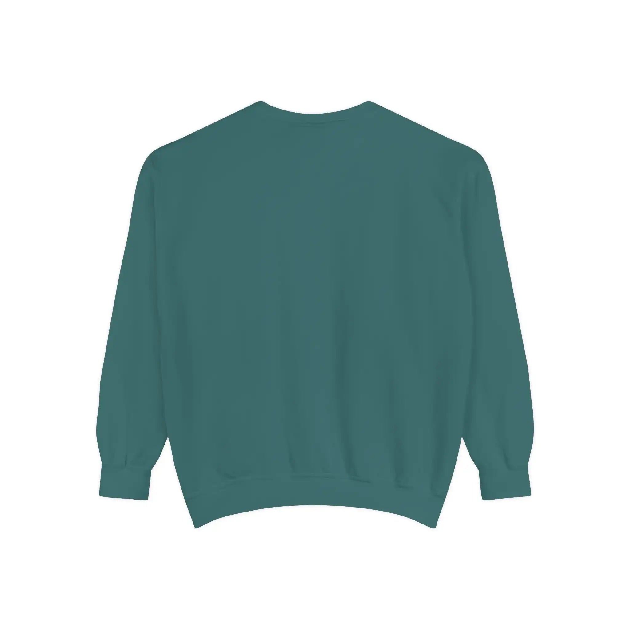 AEMBR teal crewneck sweatshirt, back view, plain design on white background