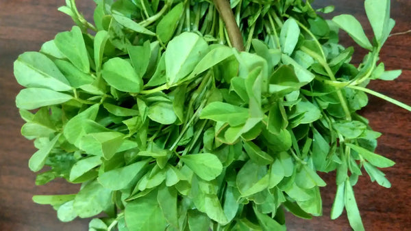 Fresh bunch of organic fenugreek greens with vibrant green leaves on a wooden surface
