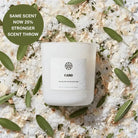 AEMBR Fjord candle with sea salt, blonde woods, and sage, shown on natural botanical background.