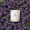 AEMBR Lavender Haze scented candle in white jar surrounded by fresh purple lavender flowers