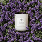 AEMBR Lavender Haze scented candle in white jar surrounded by fresh lavender flowers