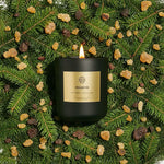 Fraser Fir candle by AEMBR in black jar, lit on fresh pine branches with resin pieces
