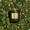 Fraser Fir candle by AEMBR in black jar, lit on fresh pine branches with resin pieces