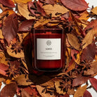AEMBR Leaves candle in red glass surrounded by autumn leaves, star anise, and cloves