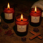 Three non-toxic autumn scented candles in amber jars, labeled leaves, pumpkin teakwood, and spiced oatmilk, with fall leaves, anise, and cinnamon sticks on a wood table.