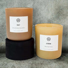 Two non-toxic scented candles labeled Salt and Citron against a stone background.