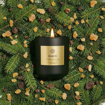 AEMBR Fraser Fir Candle with a festive green wax and pinecone decoration, perfect for holiday decor and cozy ambiance.