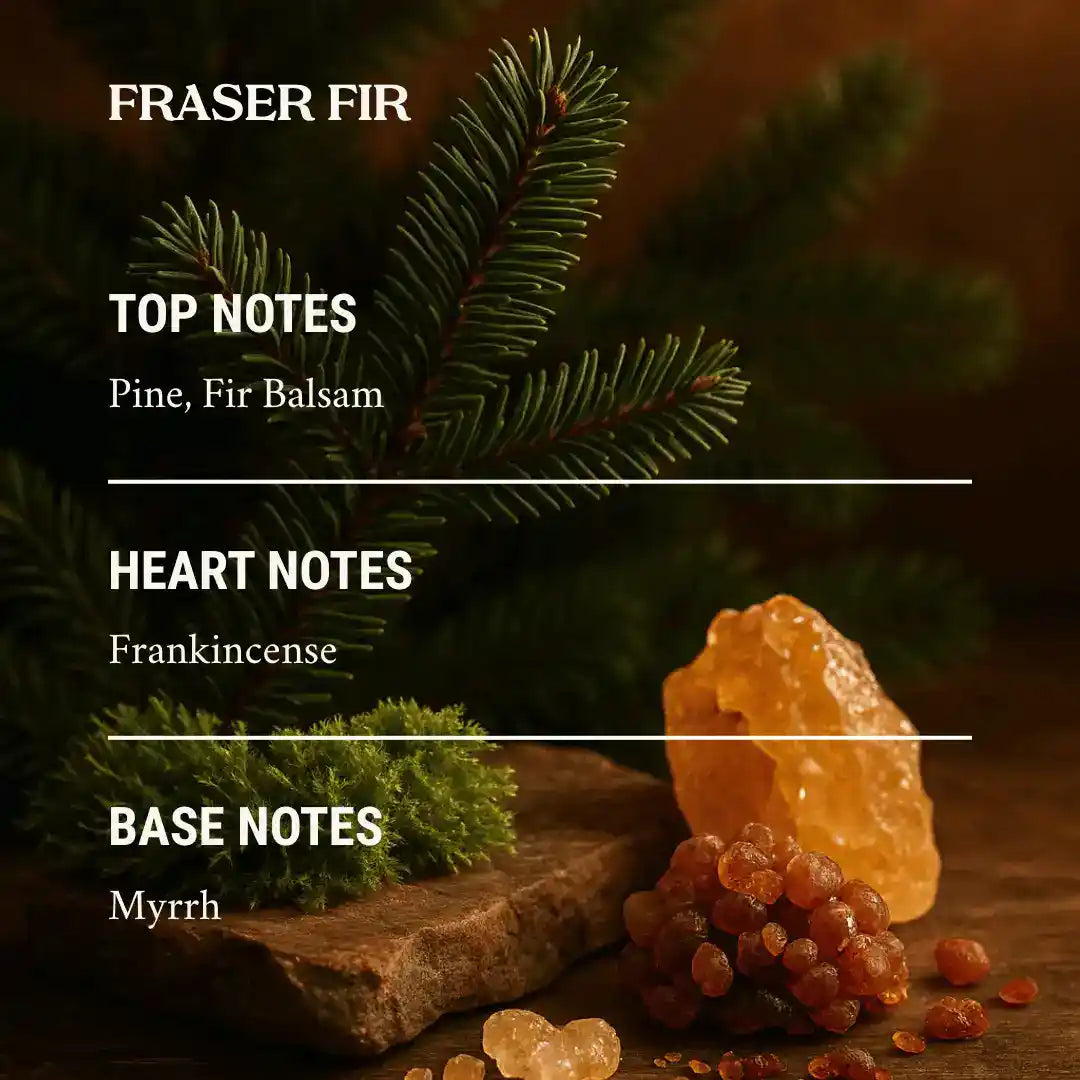 Fraser fir non-toxic candle scent notes with pine, fir balsam, frankincense, myrrh.