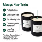 Father's Day Candle Set — Always Non-Toxic — Phthalate-Free Carcinogen-Free Coconut-Apricot Wax Lead-Free Cotton Wick