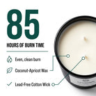 Old Fashioned Candle — 85 Hours Burn Time — Overhead top-down view wax surface and cotton wicks