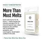 VANILLA ASH Wax Melt highly concentrated — 12–16 hours per cube, coconut apricot wax, USA-made, flame-free