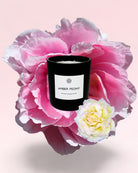 AMBER PEONY - Deluxe Candle - AEMBR - Clean Luxury Candles, Wax Melts & Laundry Care