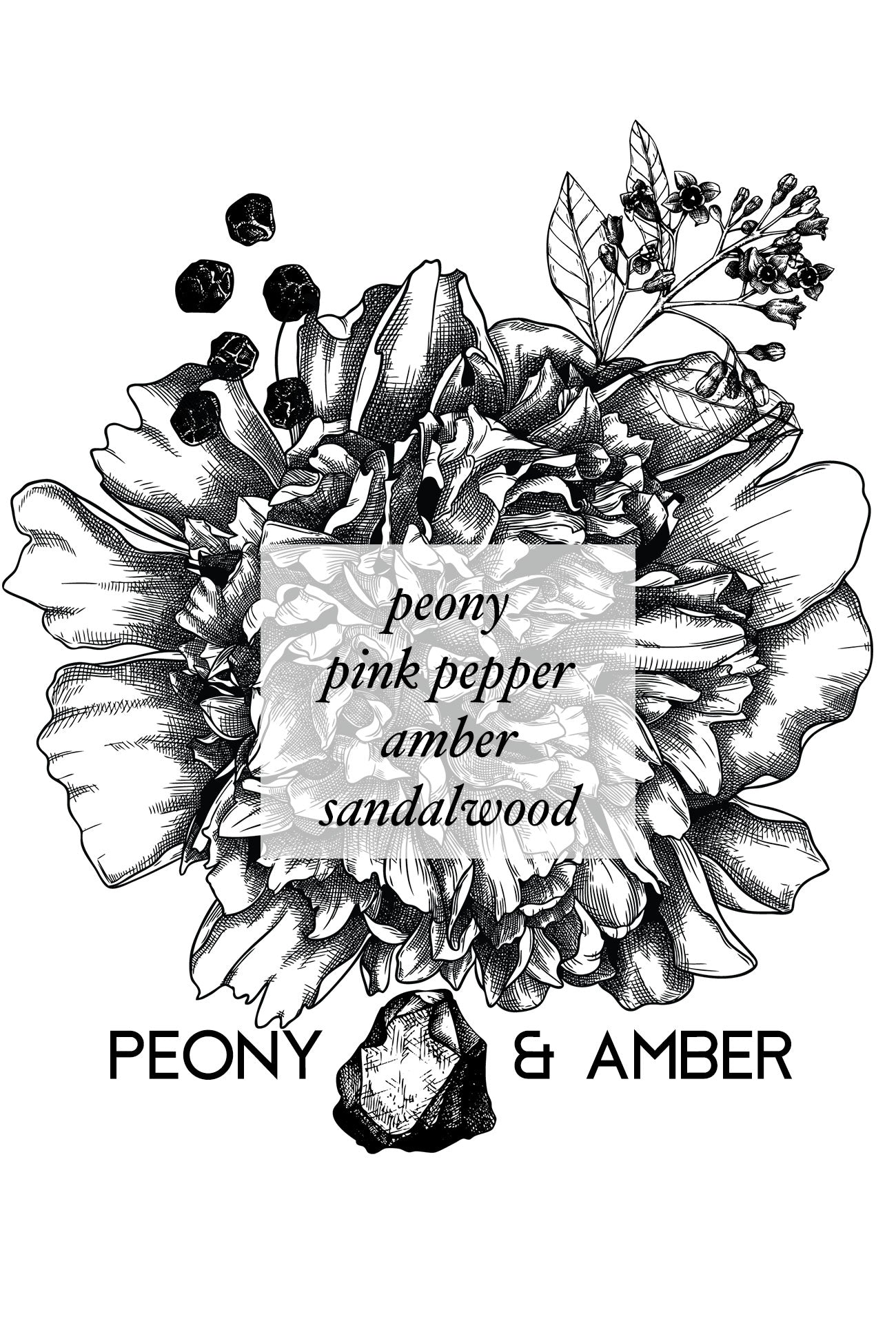 AMBER PEONY - Vintage Version - AEMBR - Clean Luxury Candles, Wax Melts & Laundry Care