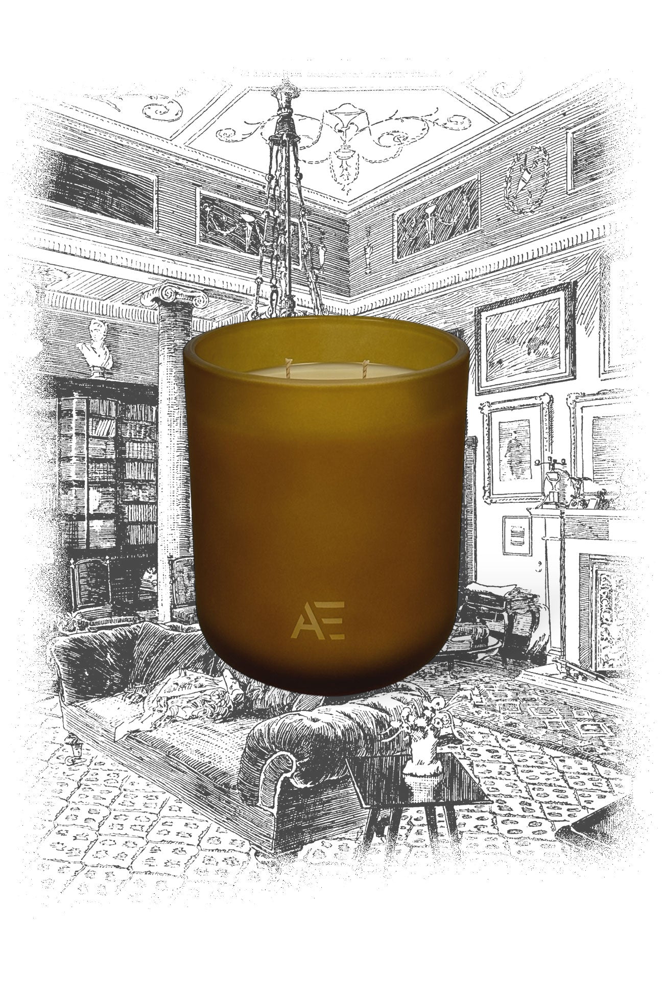 BIBLIOTEK - Vintage Version - AEMBR - Clean Luxury Candles, Wax Melts &amp; Laundry Care