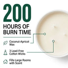 The Viking Lavender Haze 200 hours of burn time overhead stat slide – plain coconut-apricot wax surface, 3 lead-free cotton wicks, fills large rooms with scent