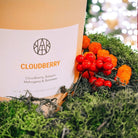 AEMBR Cloudberry scented candle with moss and berries, eco-friendly home fragrance.