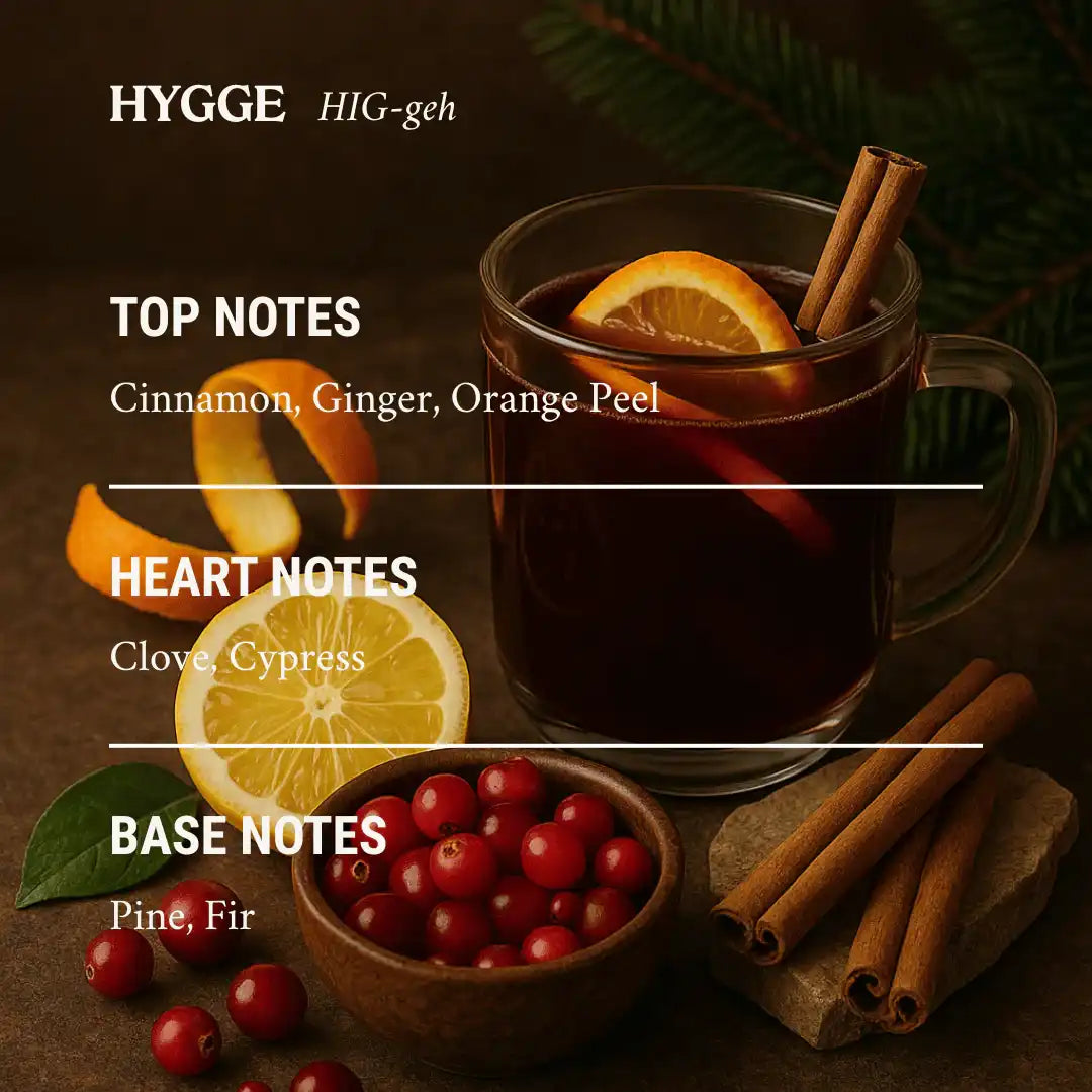 AEMBR Hygge scented candle notes with cinnamon, orange, berries, and fir, cozy home vibes