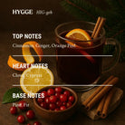 AEMBR Hygge scent profile with a glass mug of spiced drink, orange, lemon, cranberries, cinnamon sticks.