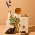 AEMBR natural home fragrance ingredients, including lavender, cocoa pod, herbs, powder, on beige blocks