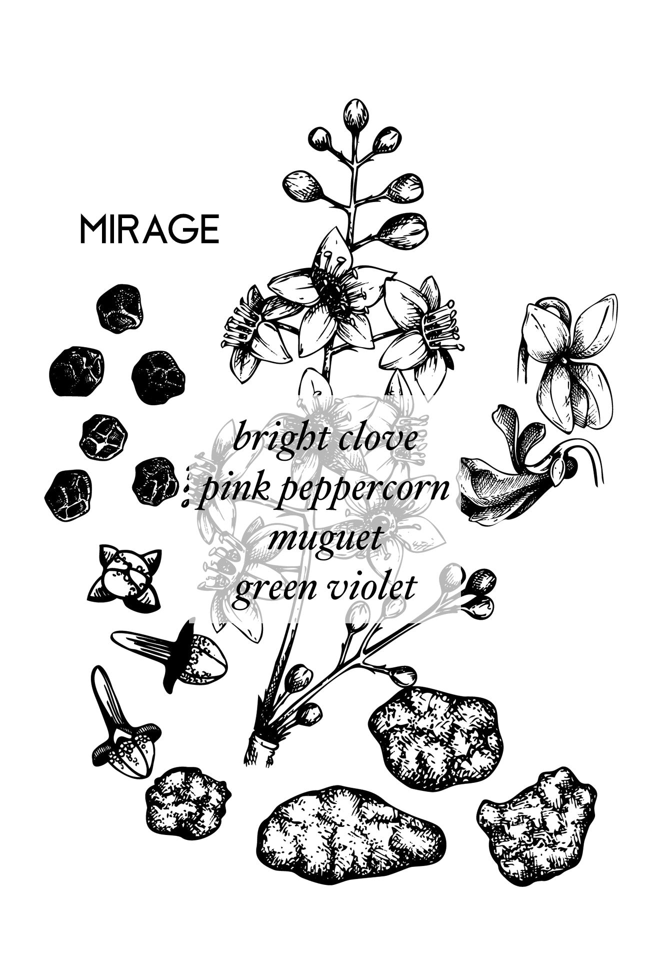 MIRAGE - Vintage Version - AEMBR - Clean Luxury Candles, Wax Melts & Laundry Care