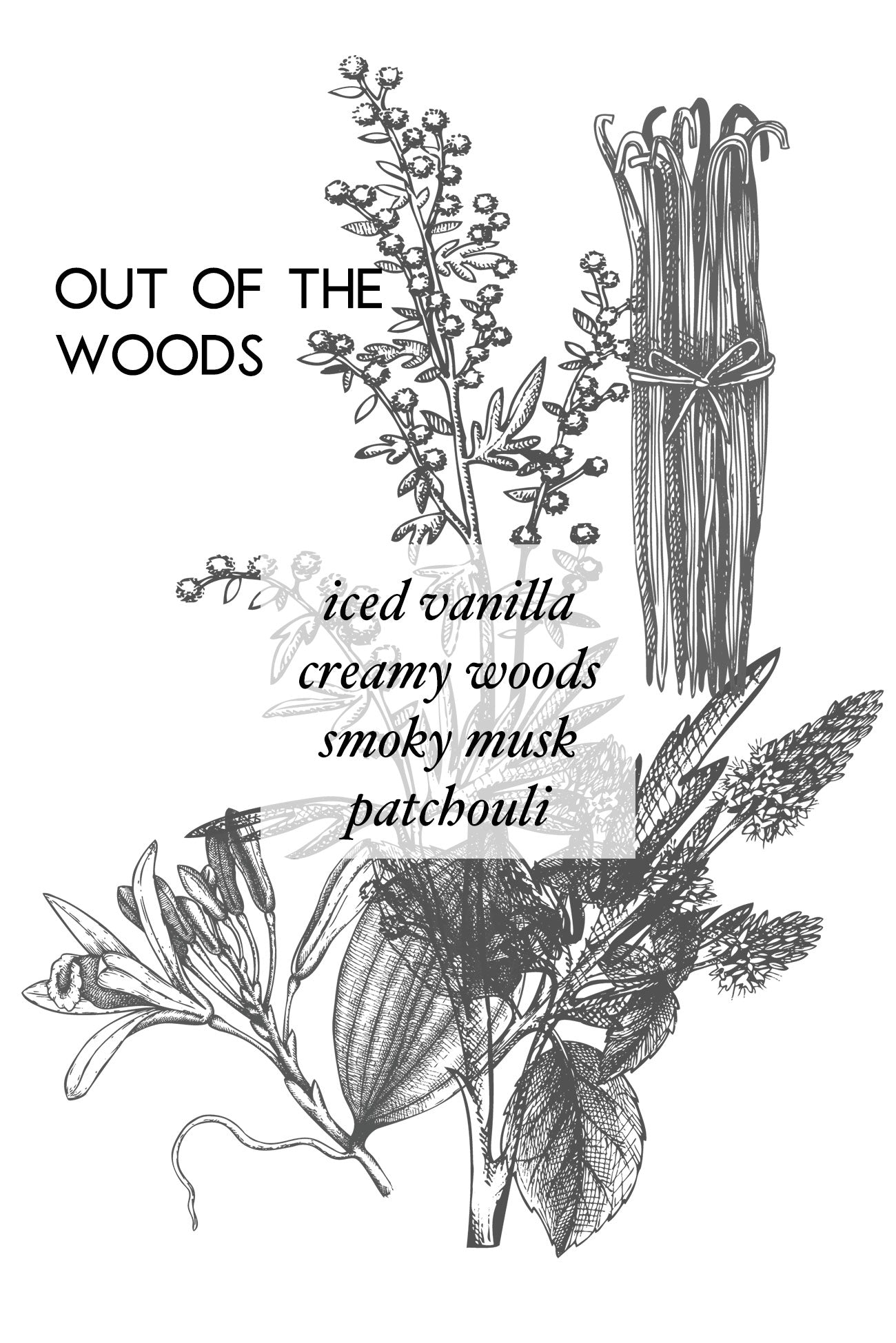 OUT OF THE WOODS - Wax Melt - AEMBR - Clean Luxury Candles, Wax Melts &amp; Laundry Care