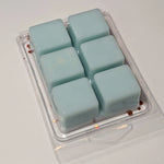 In My Showgirl Era Wax Melt