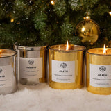 Fraser Fir - Silver & Gold Edition