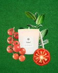TOMAT - Classic Candle - AEMBR - Clean Luxury Candles, Wax Melts & Laundry Care