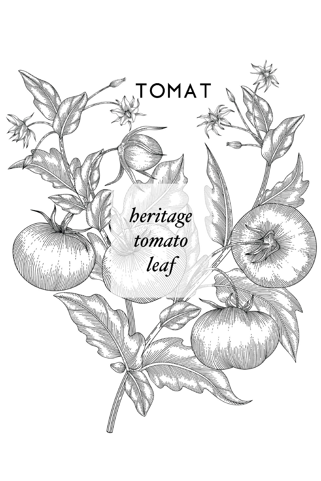 TOMAT - Vintage Version - AEMBR - Clean Luxury Candles, Wax Melts & Laundry Care