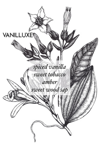 VANILLUXE - Wax Melt